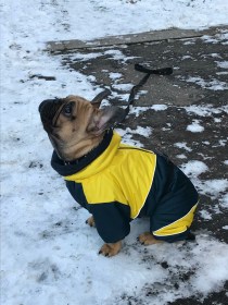 Aramis apģērbs suņiem. Ziemas suņu kombinezons-mētelis ar atstarotājiem, L